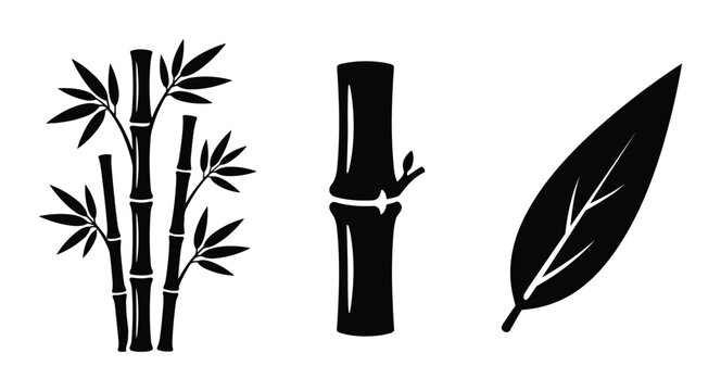 Bamboo stalks and leaf for Asian decor and nature illustrations.