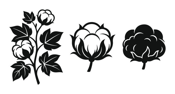 Stylized cotton boll blossom for organic fabric production.