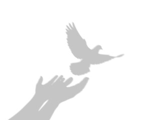 Fototapeta premium Hands Releasing a Dove of Peace Hope and Freedom Vector Illustration