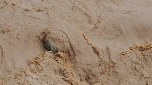 Natural hazards during the rainy season river surges and mudslides rapidly flowing, muddy brown water rushes past dark, scattered rocks weeds and trees within the stream or river.