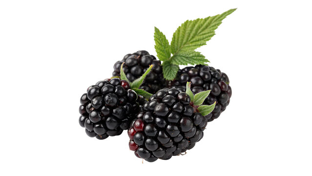 Heap of fresh ripe dark blackberries with green leaves isolated on white background