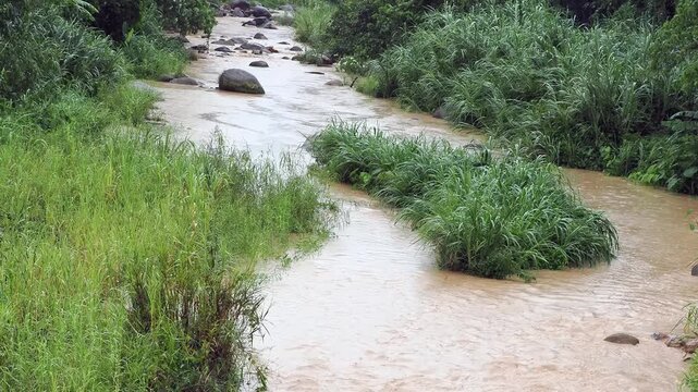 Natural hazards during the rainy season river surges and mudslides rapidly flowing, muddy brown water rushes past dark, scattered rocks weeds and trees within the stream or river.