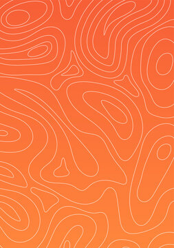 Abstract salmon fillet topographic pattern vector background. Orange fish meat texture with organic contour lines and curved shapes for food design, seafood packaging, and culinary concepts