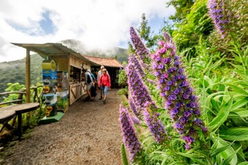 Fototapeta premium Vereda dos Balcoes Purple Flowers Along a Mountain Trail in Madeira