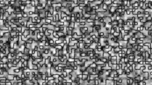 Intricate black and white pattern with flowing curved structures creating a unique abstract visual texture suitable for digital art and graphic design.