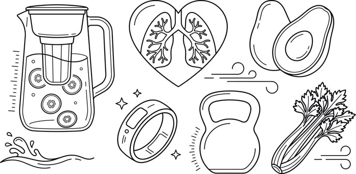 Healthy lifestyle wellness vector illustration element set featuring water filter pitcher heart lungs kettlebell avocado and celery graphics