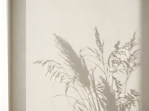 Minimalist pampas grass shadow on beige wall, aesthetic floral silhouette background, soft natural light shadow overlay for mockup