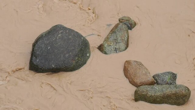Natural hazards during the rainy season river surges and mudslides rapidly flowing, muddy brown water rushes past dark, scattered rocks weeds and trees within the stream or river.