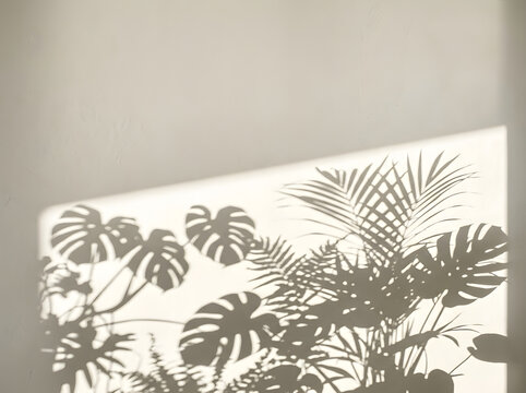Minimalist tropical leaf shadow on beige wall, aesthetic monstera and palm plant silhouettes, elegant sunlit interior background