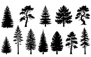collection of trees © Tugas