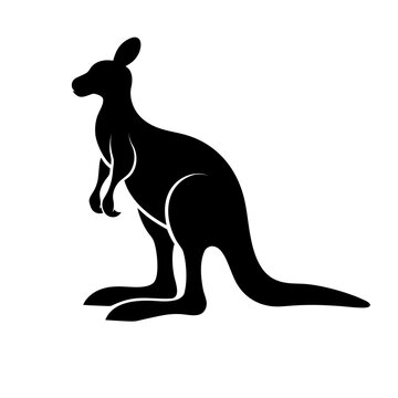 kangaroo with baby