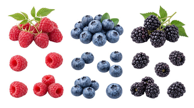 Fresh berry collection with raspberries, blueberries and blackberries. Assorted summer forest fruits set on white background. Organic raw berries.