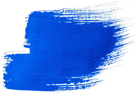Thick cobalt blue acrylic brush stroke with dry feathered right edge isolated on a transparent background