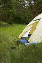 Naklejka premium Camping tent set up in a lush green meadow