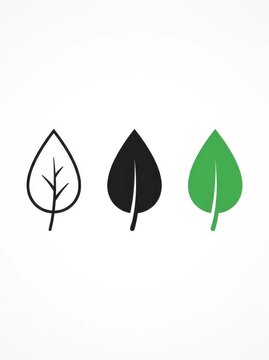 Set of three leaf icons in outline, solid black, and green styles for eco-friendly and nature-themed design projects.