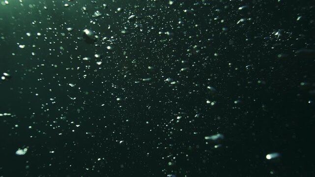 Small air bubbles float through dark green water in a deep underwater environment with low light, deep mysterious soothing background