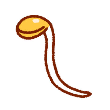 콩나물