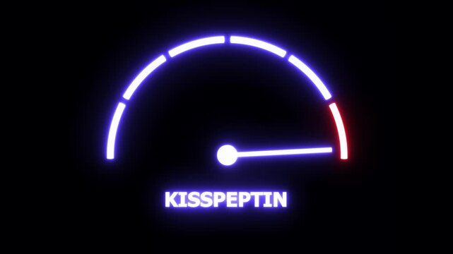 Dynamic neon gauge meter visualizing kisspeptin hormone levels with glowing blue and red indicator needle motion for scientific research, medical education, endocrinology presentations, and biotech