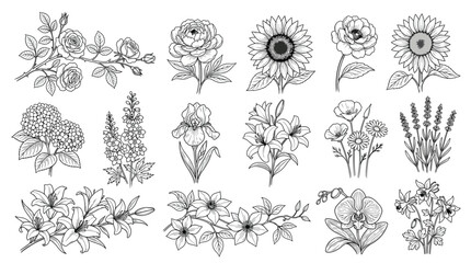 Fototapeta premium Adobe Illustrator Artwork