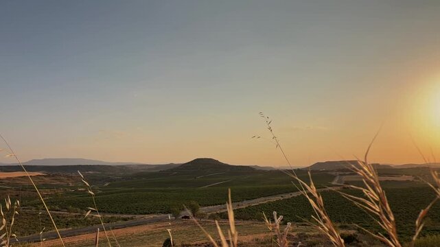 Beautiful evening landscape with the sun setting over the vineyards in La Rioja, Spain. The golden light illuminates the rolling hills