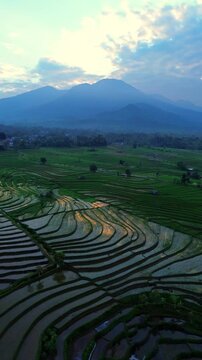 the beauty of the foggy morning panorama with sunrise and rice fields in Bengkulu, indonesia, asia