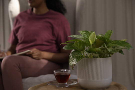 Indian woman in maroon shirt holding notebook on sofa with teacup, pothos in pot, copy space