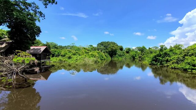 Pando Rainforest River View With Eco Cabins