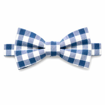 Blue gingham bow tie illustration, checkered fabric bowtie vector, formal necktie accessory isolated on white background