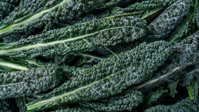 Tuscan Kale Texture Background