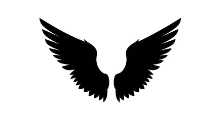 Fototapeta premium Black silhouette of bird wings spread wide