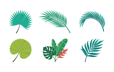 Fototapeta premium Vibrant tropical leaf illustration set with flat design style