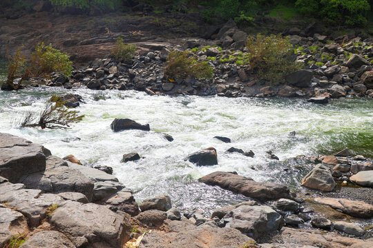 White Water Rapids Flowing Over Rocky River in Forest