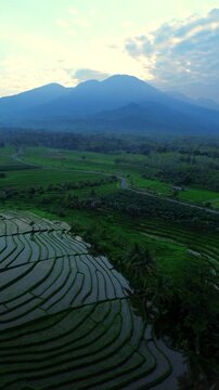 the beauty of the foggy morning panorama with sunrise and rice fields in Bengkulu, indonesia, asia
