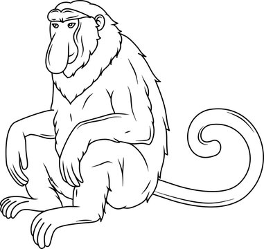 Bekantan proboscis monkey outline illustration