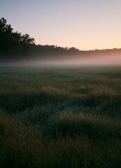 Obraz premium Landscape photograph of a field of tall grass at sunrise or sunset. the sky is a beautiful shade of orange and pink, with the sun partially visible in the top right corner.
