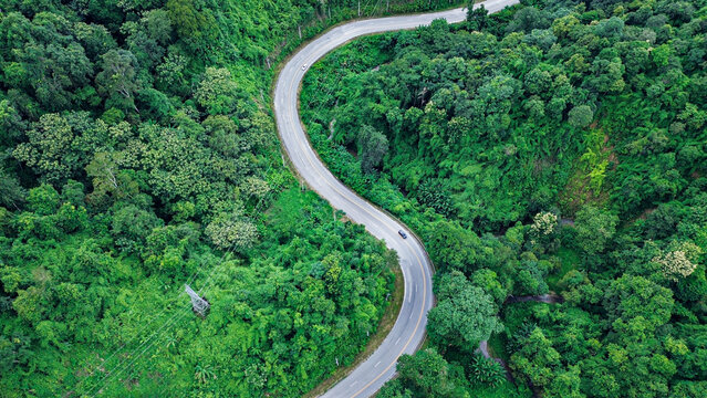 Aerial view road and green forest, green environment Rainforest landscape with trees and fog - theme conservation,	