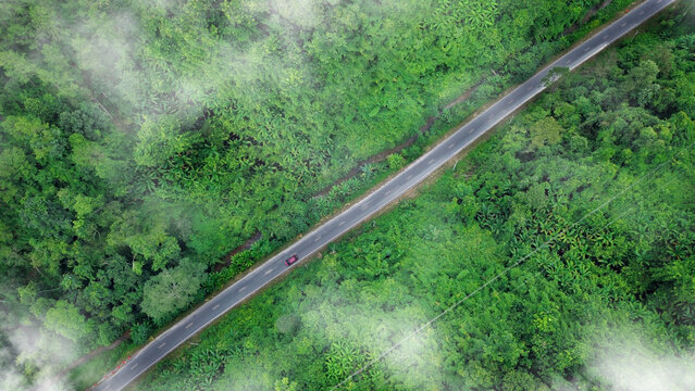 Aerial Forest Road Through Tropical Landscape for ESG Sustainability and Net Zero Strategy