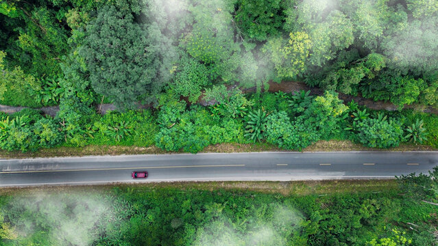 Lush green forest with winding transportation route illustrating sustainable mobility, Climate Action, Renewable Energy Transition, Environmental and green investment business concepts.