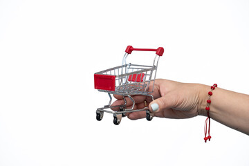 Hand holding miniature shopping cart for retail concept © Jair Fonseca
