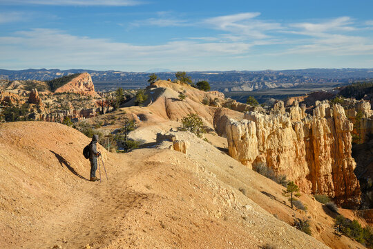 Hiker looking at the views from Bryce Canyon Rim Trail. Utah. USA.