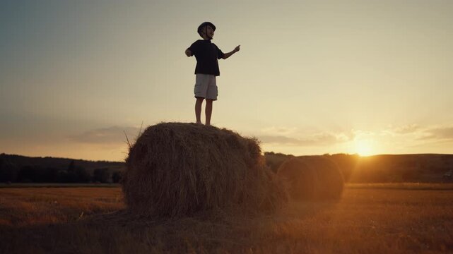 Cute little boy standing on haystack in field, merry vacation in countryside. Enjoy simple rural life and picturesque scenery, happy childhood, carefree child screaming, inspired by wild nature