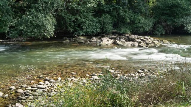 River in the woods timelapse