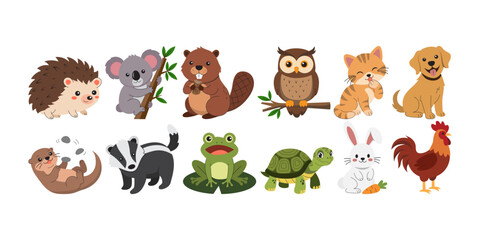Obraz premium Animal Illustration