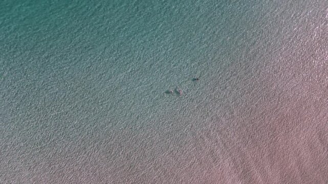 Top Down Drone View of Swimmers in Crystal Clear Shallow Water at Voidokilia Beach, Peloponnese, Greece