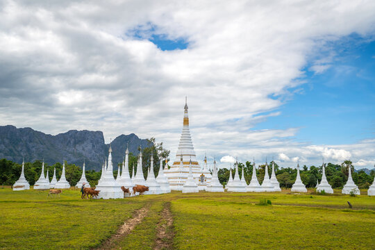 White pagodas of Toh Tae Ploe in Kayin State, Myanmar, set against lush green fields and scenic mountains under a cloudy blue sky with grazing cattle.