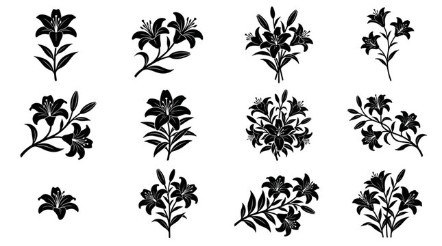 Lily flower silhouette set featuring two elegant black icons with stems and leaves
