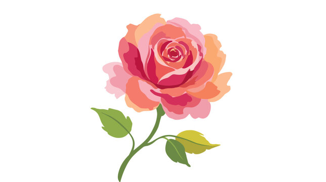 Abstract watercolor rose flower illustration
