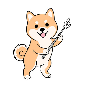 Cute Shiba Inu dog holding a pointing stick and explaining, cartoon mascot character isolated on white background