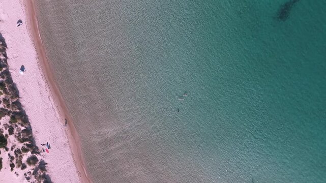 Top Down Drone View of Swimmers in Crystal Clear Shallow Water at Voidokilia Beach, Peloponnese, Greece