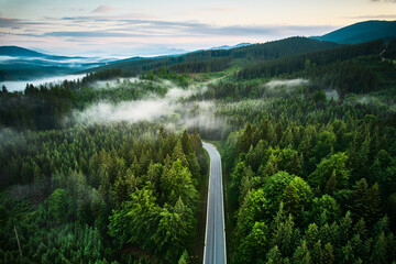 Naklejka premium Aerial view of winding road snakes through dense, mist-covered forest in early morning light.